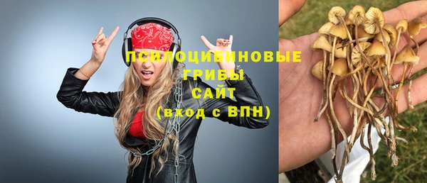 дурь Абаза