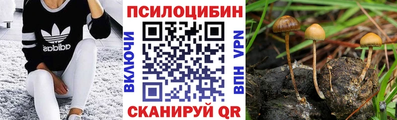 где можно купить наркотик Грозный ОМГ ОМГ как зайти Галлюциногенные грибы ЛСД