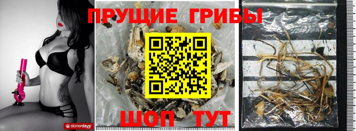 Псилоцибиновые грибы Psilocybine cubensis  Вход с VPN  Грозный 